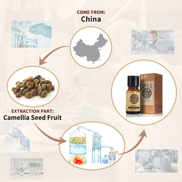 AKARZ DIY Massage Camellia Seeds Oil for Beauty and Stretch Marks - Eliminate Stretch Marks, Hydrate and Nourish Skin - Made in China